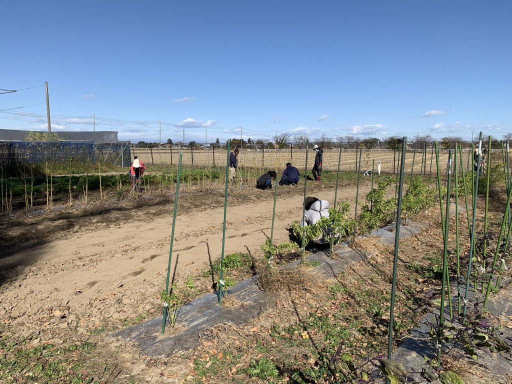 12月5日の自然栽培の会について