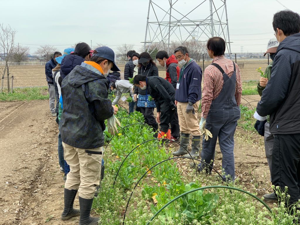 4月3日の自然栽培の会について
