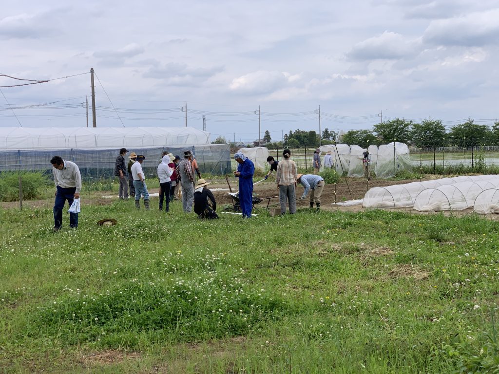 6月5日の自然栽培の会について