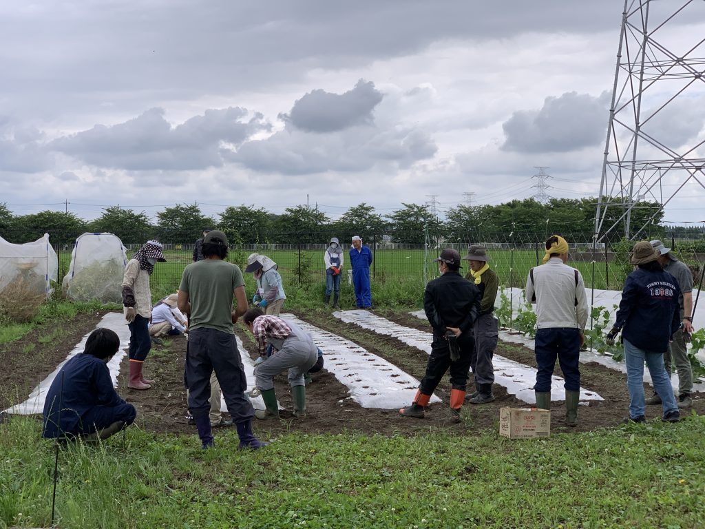 6月19日の自然栽培の会について