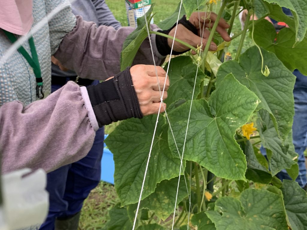 7月17日の自然栽培の会について