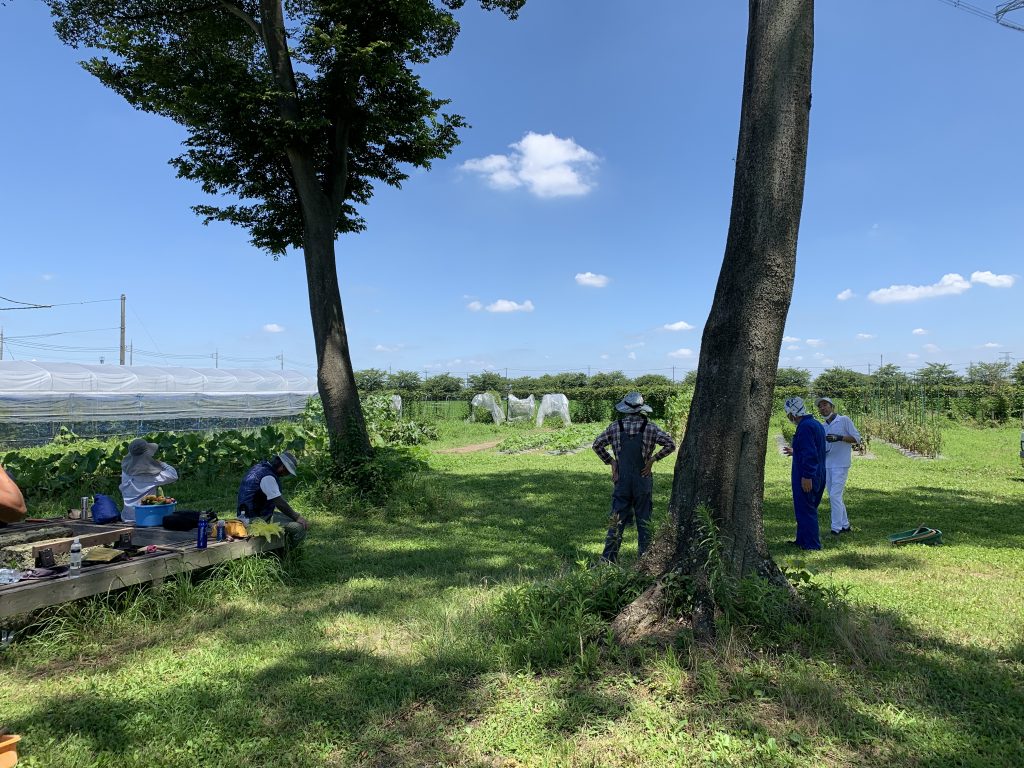8月7日の自然栽培の会について
