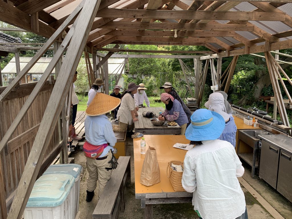 9月4日の自然栽培の会について