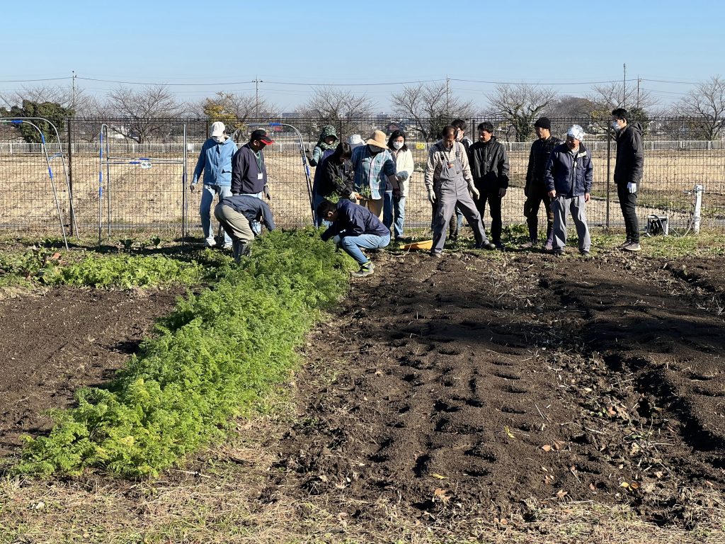 12月18日の自然栽培の会について