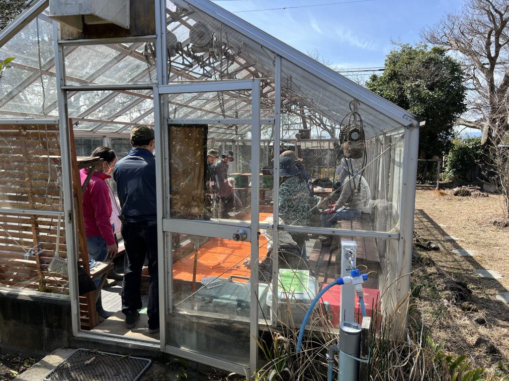 4月2日の自然栽培の会について