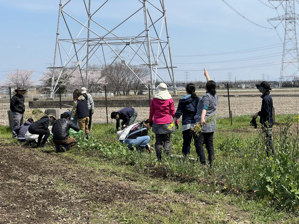 4月16日の自然栽培の会について