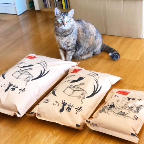 三匹の猫米活動「今年、パートナー企業様と共に活動できることになりました」