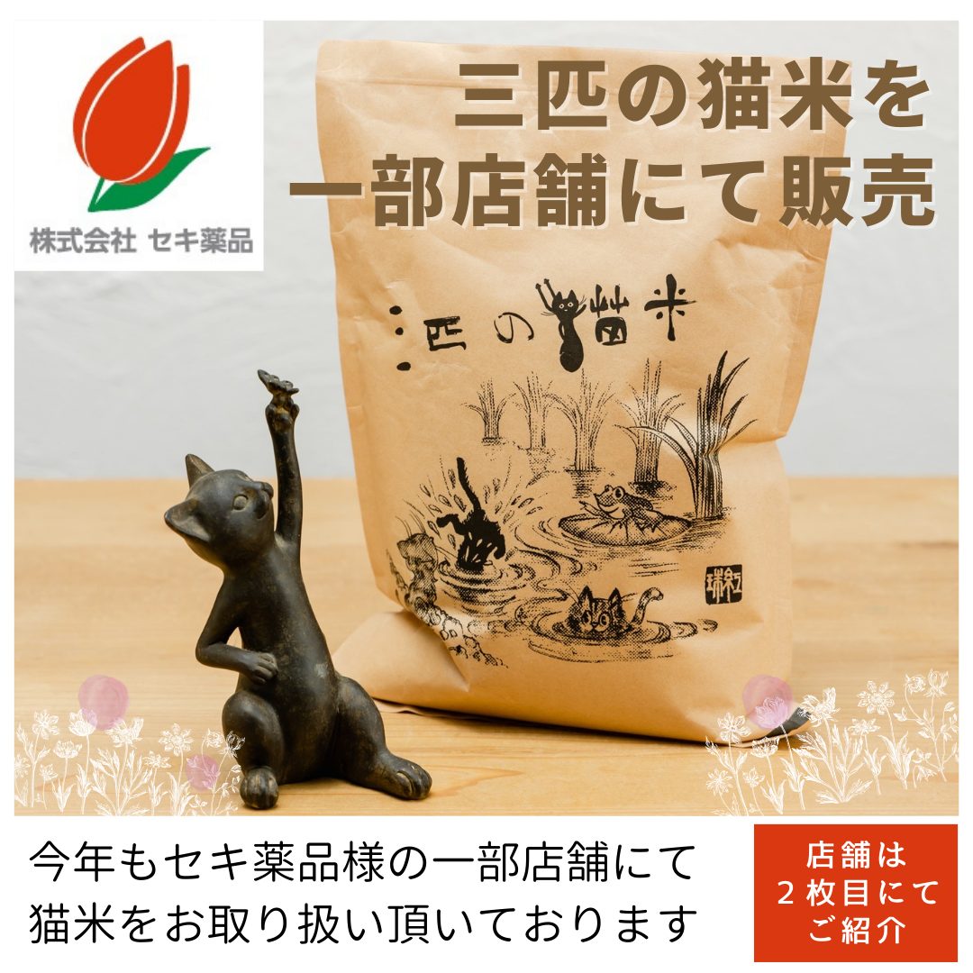 うやくず様専用 デュエマ デッキ販売 ドロマーアマテラスループおまけ