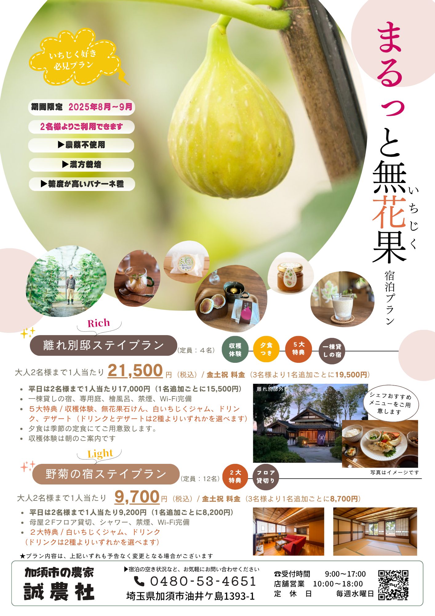 凪 様 イチジク 専用出品 凪 様 イチジク 専用出品 凪 様 イチジク 専用出品 公式通販 【公式通販】