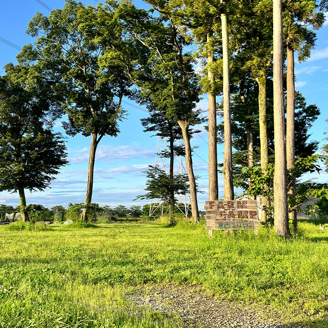 Backyard-Campfield-Uraniwa
