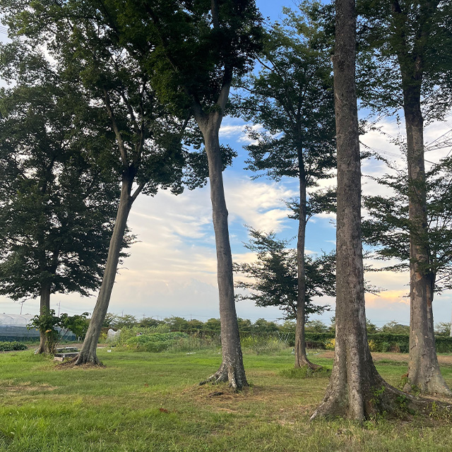 Uraniwa-Backyard-Campfield
